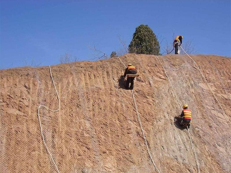 ��ʯ���o�W(w��ng)