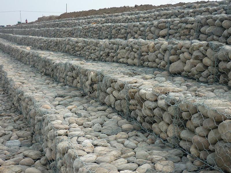 �ӵ̸��e�W(w��ng)