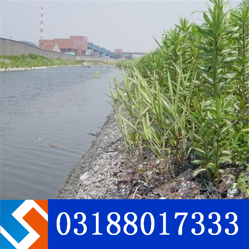 �ؑc�����L(zh��ng)�������e��\�o(h��)���C���������ڹ���