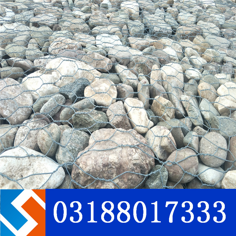 �V����ɫ���Z�o�|�ҽ���������