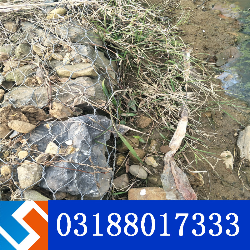 ���������뾩���׺����Z�o(h��)�|��������