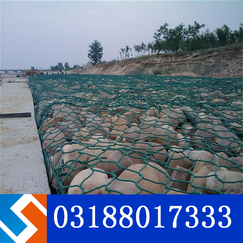 ���Z�o�|���e��\��һ���aƷ�᣿