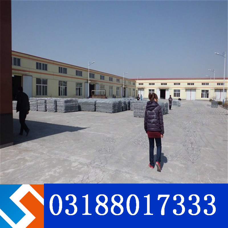 ���Z�o�|���e��\��һ���aƷ�᣿