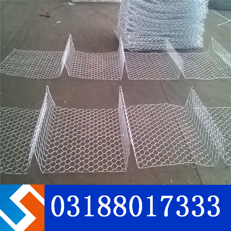 ���B���Z�o�|��W�Y������Щ���ݣ�