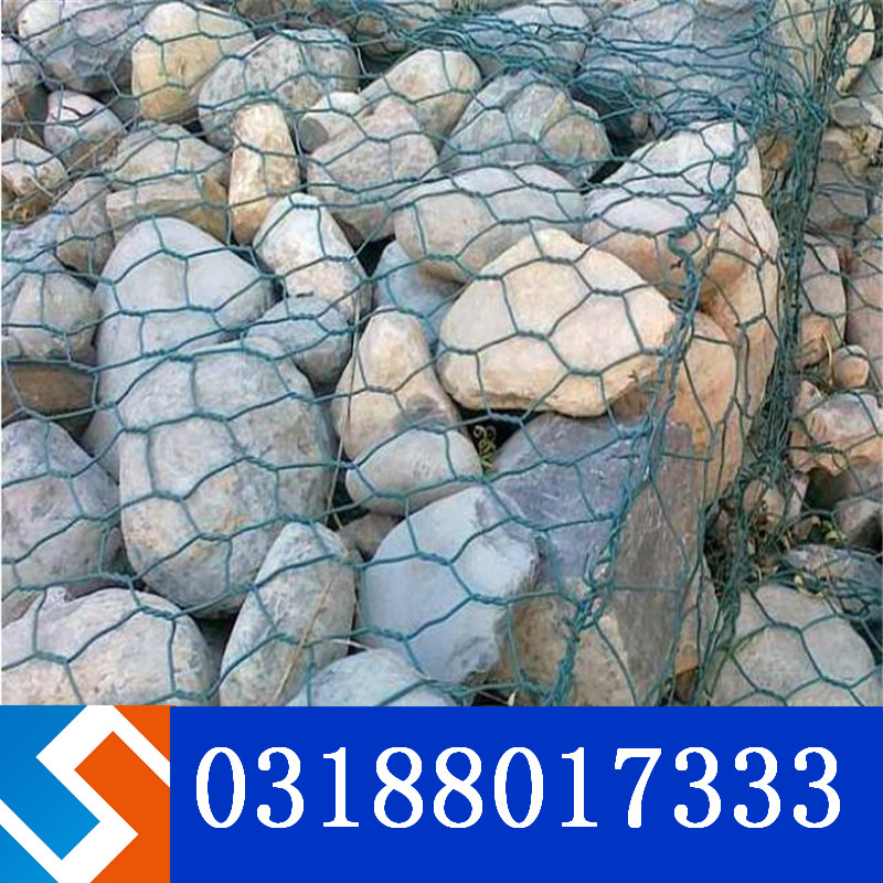 ���B���Z�o�|��W�Y������Щ���ݣ�