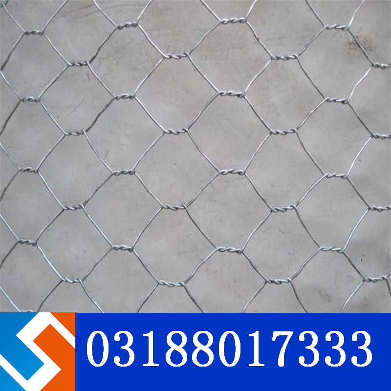 ���Fʮ�����R�����VS26�����Z�o�|�o�¹���