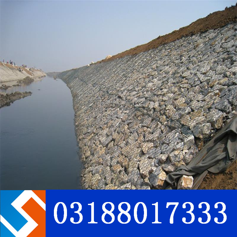 �㽭�ӵ����e�W(w��ng)��������