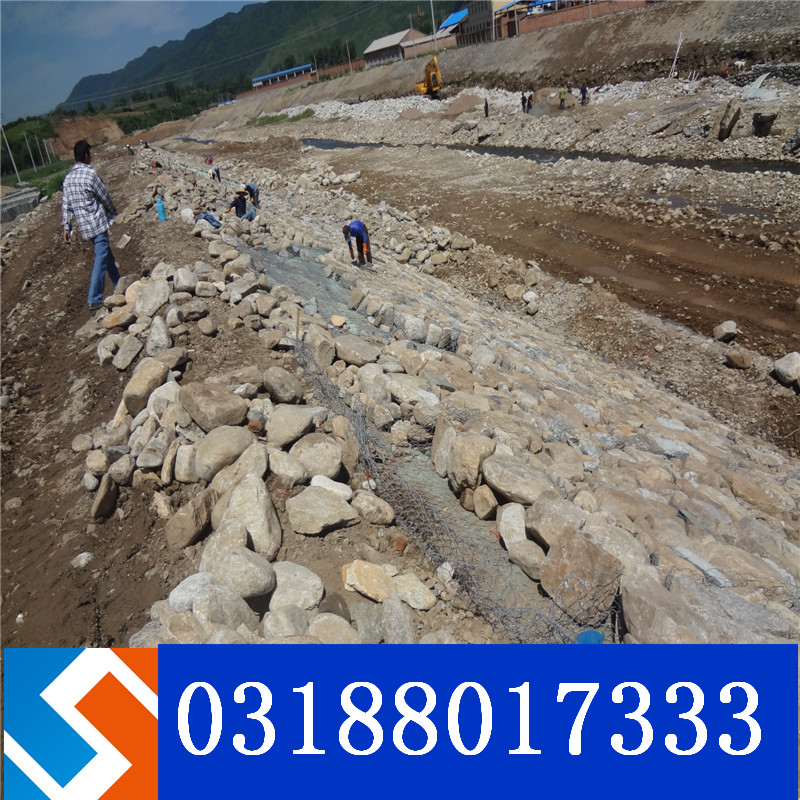 ���Z�o�|�o��