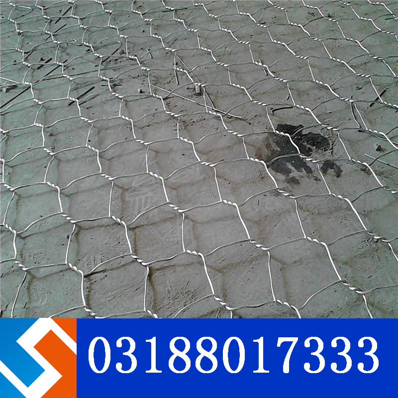 �ӵ��o(h��)��ʯ�\�W(w��ng)�ڽ�҉�ˮ�վ���̑�(y��ng)��